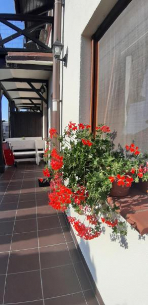 Apartamenty Kalinowa, Rowy